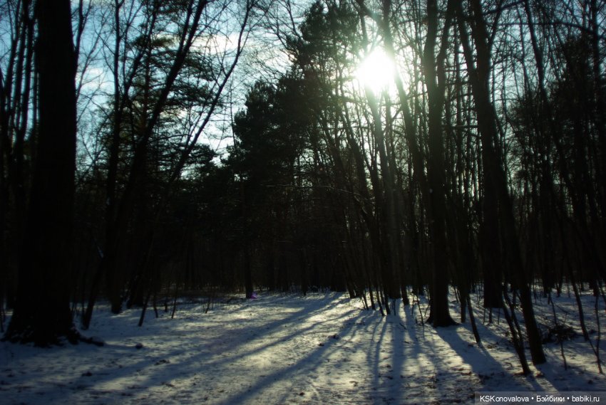 Семейный альбом. Лыжню предпенсионерам