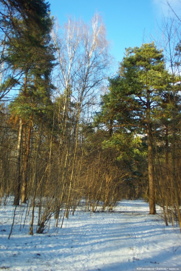 Семейный альбом. Лыжню предпенсионерам (фото 7)