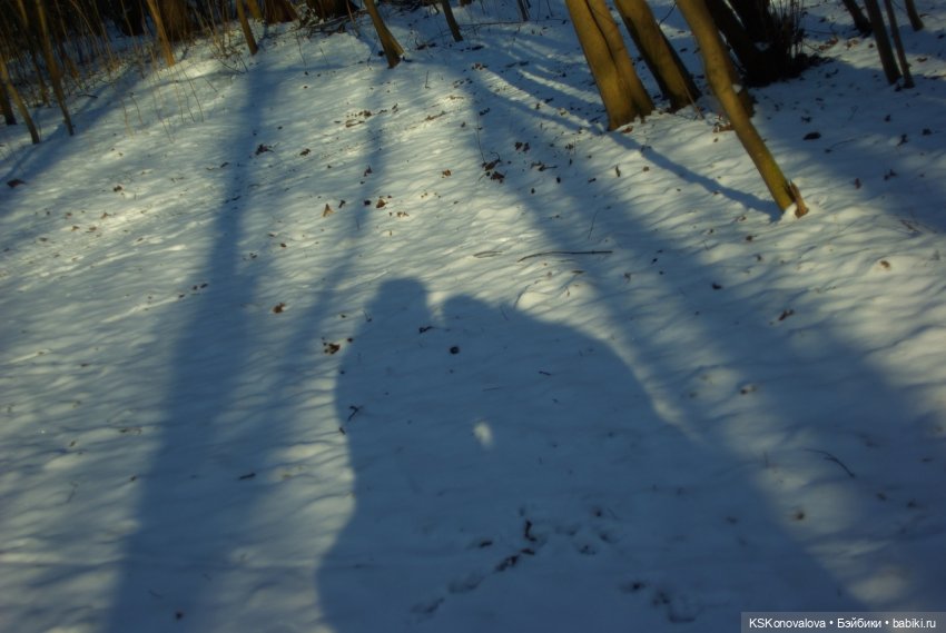 Семейный альбом. Лыжню предпенсионерам (фото 9)