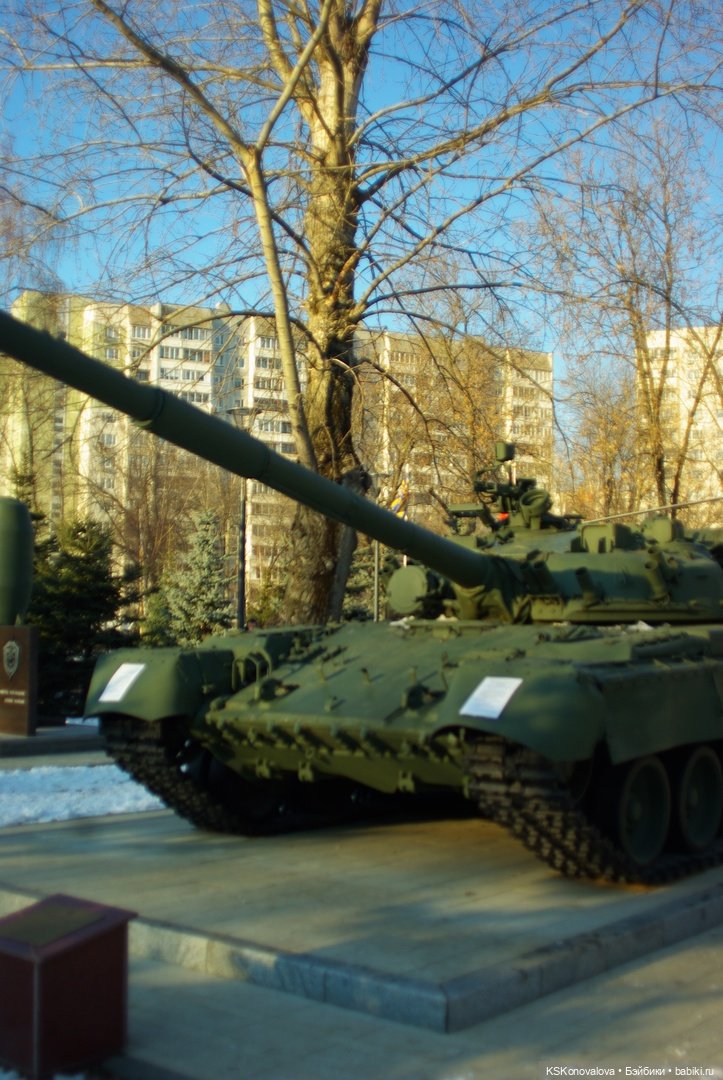 ПЕШКОМ. Москва ко Дню защитника Отечества (фото 9)