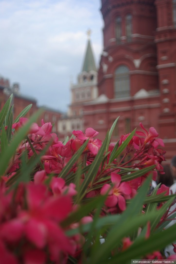 В День России с куклами — Игровые куклы разных производителей (Разное): редкие бренды