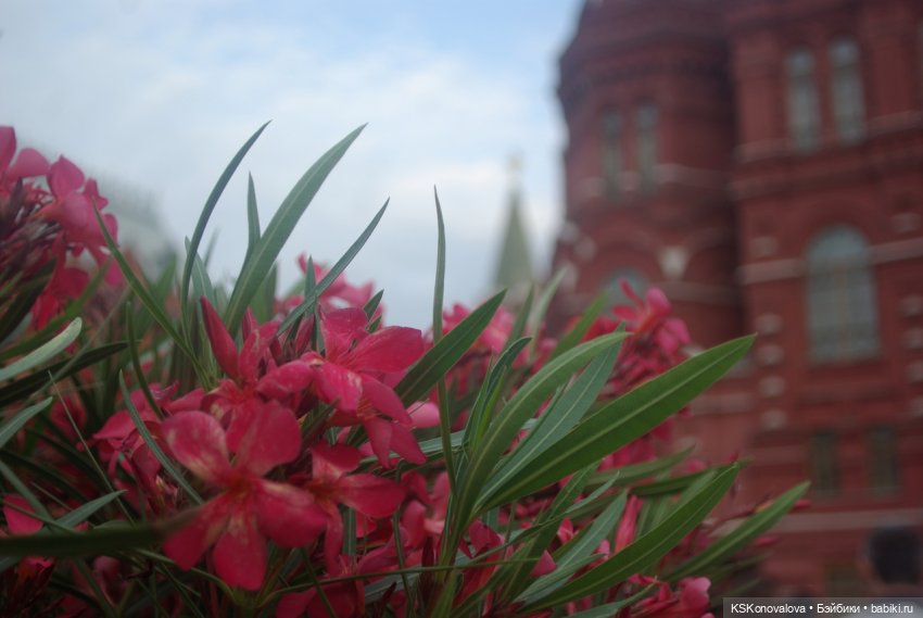 В День России с куклами — Игровые куклы разных производителей (Разное): редкие бренды