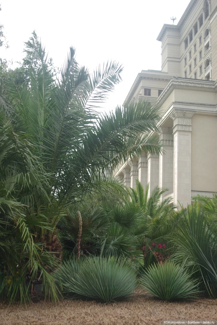 В День России с куклами — Игровые куклы разных производителей (Разное): редкие бренды