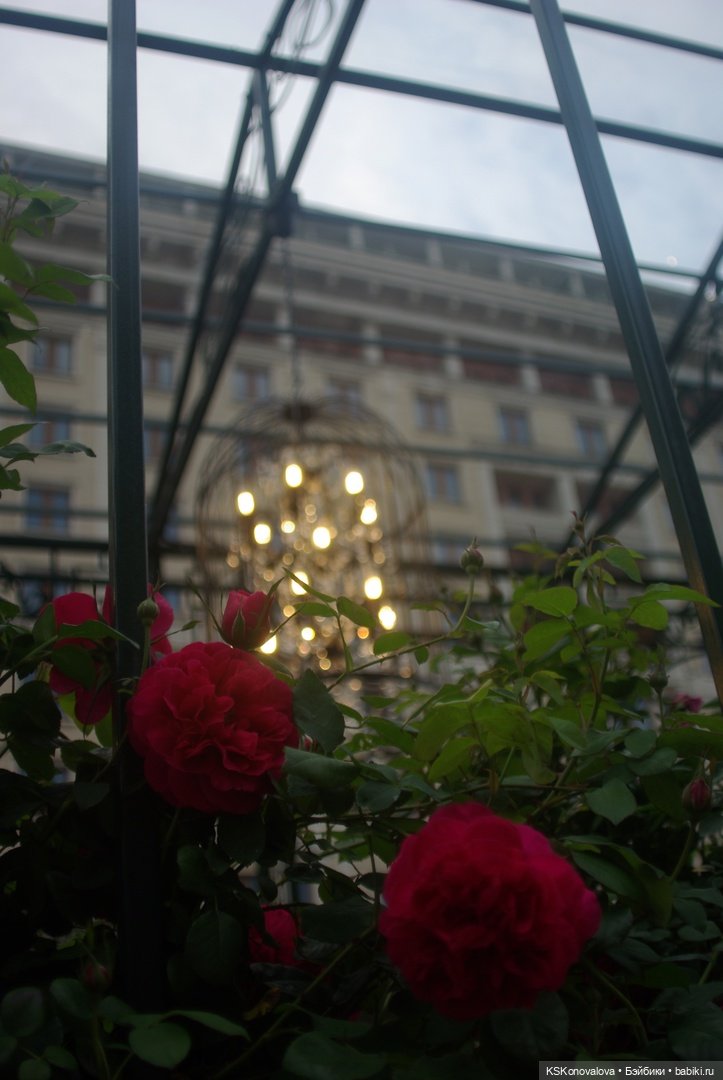 В День России с куклами — Игровые куклы разных производителей (Разное): редкие бренды