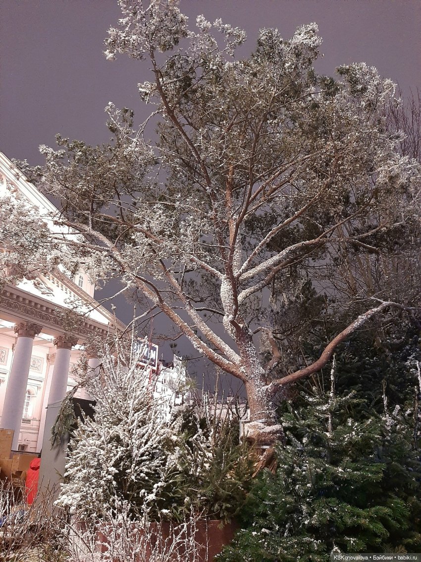 ПЕШКОМ 1:6. Смена декораций. Из зеленого в белое. ч.3 (фото 7)