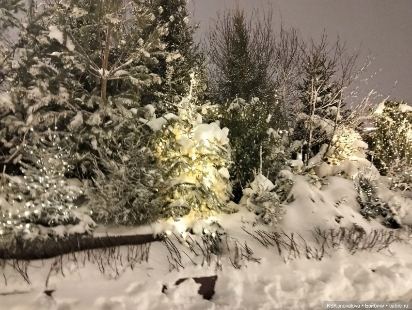 Судьба принцессы — Культура