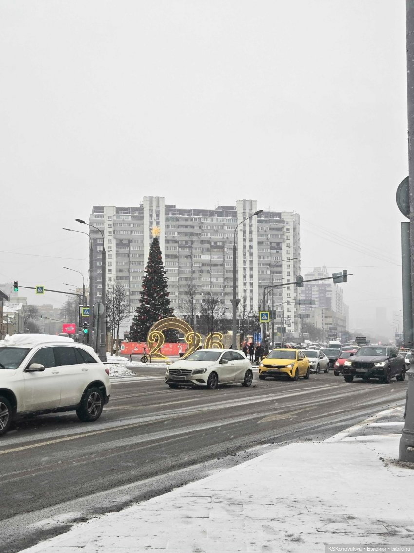 Лед тронулся или праздник убирания новогодней елки (фото 3)