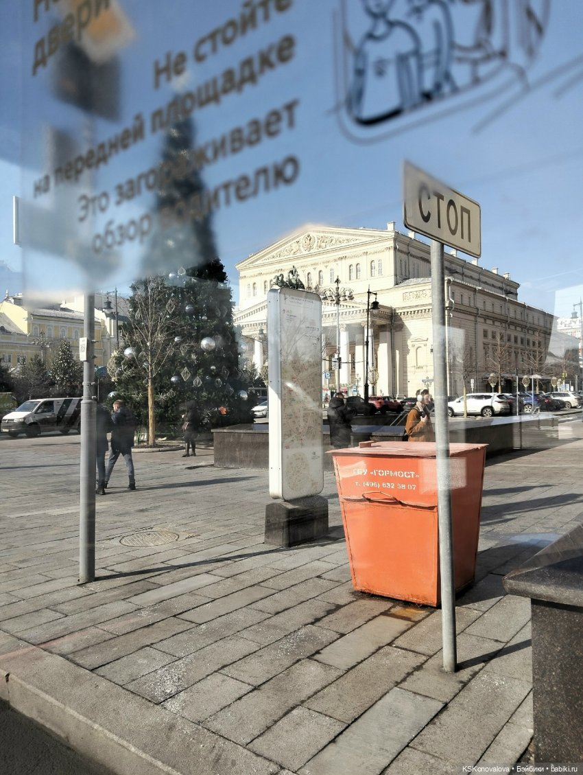 Лед тронулся или праздник убирания новогодней елки (фото 5)