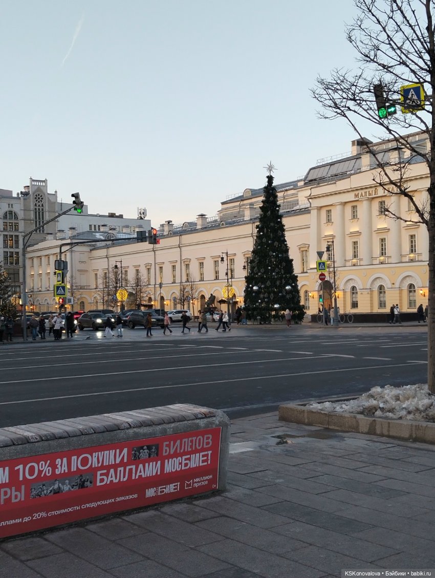 Лед тронулся или праздник убирания новогодней елки (фото 9)
