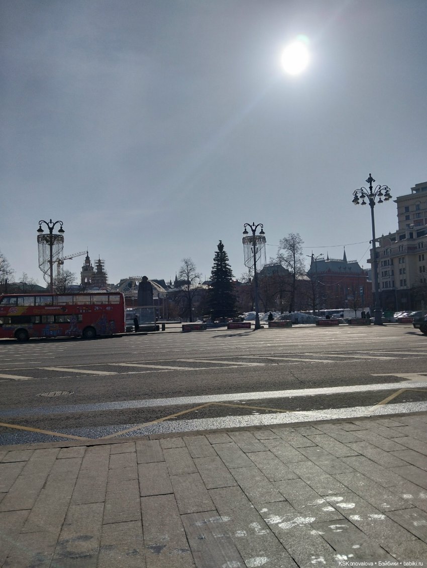 Лед тронулся или праздник убирания новогодней елки (фото 6)