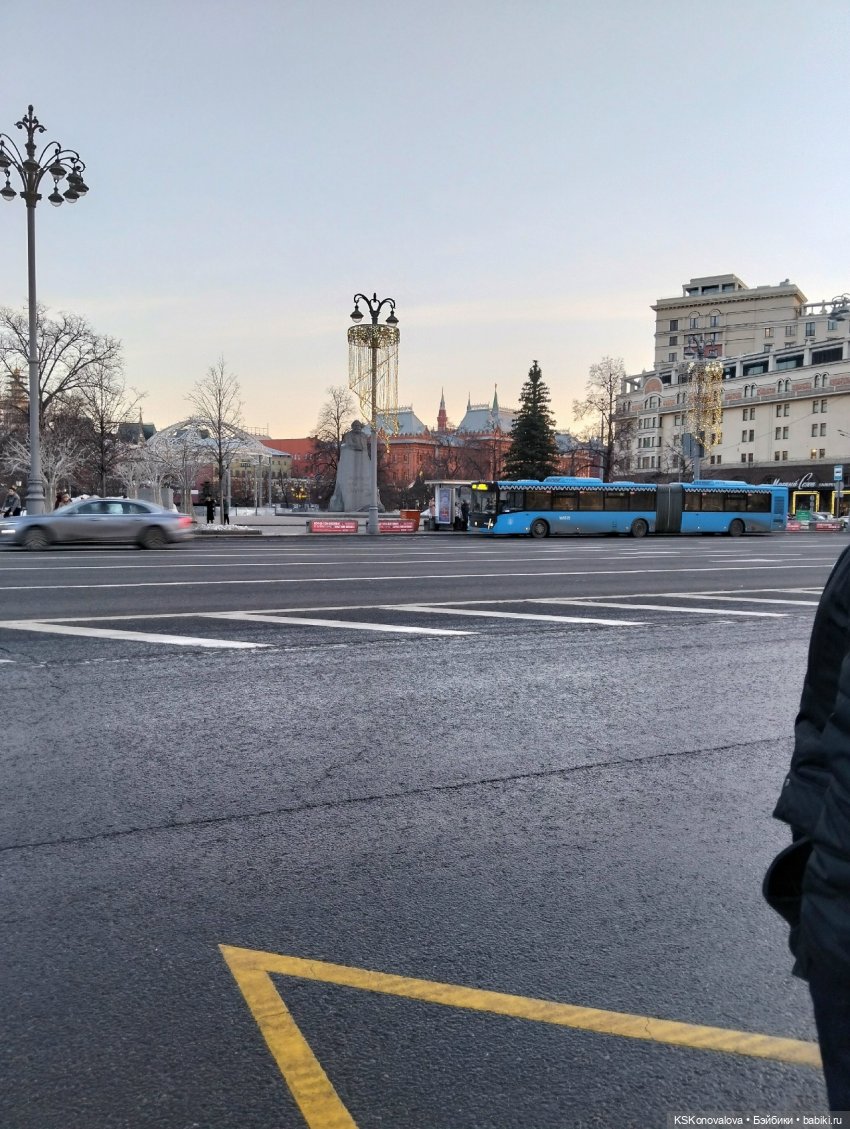 Лед тронулся или праздник убирания новогодней елки (фото 7)