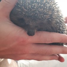 Что то новое осваивать порой непросто