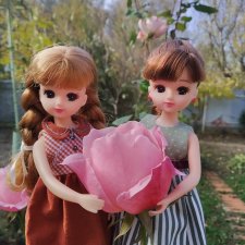 Ноябрьские розы🌹