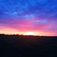 На закате и в сумерках...или помогите определиться с именем малой🐱