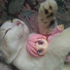 Маруся спит😉