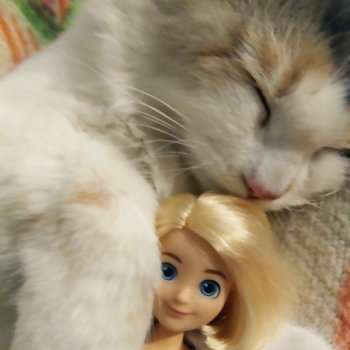 Спят усталые зверушки и игрушки