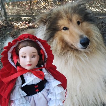 Еще чуть-чуть о Шапочке🌹