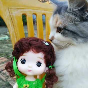 Осенние глазастики😳