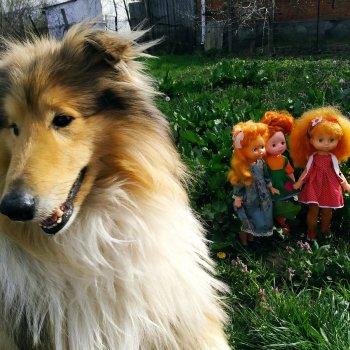 Пастушок🧺