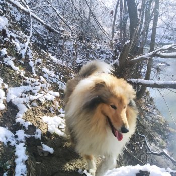 И к нам пришла зима❄️