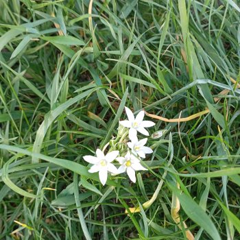 Накопившееся повседневное...