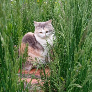 Вот компания какая...