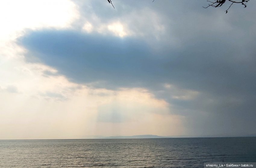 Мэвис Дракула, урождённая У. Адамс (фото 9)