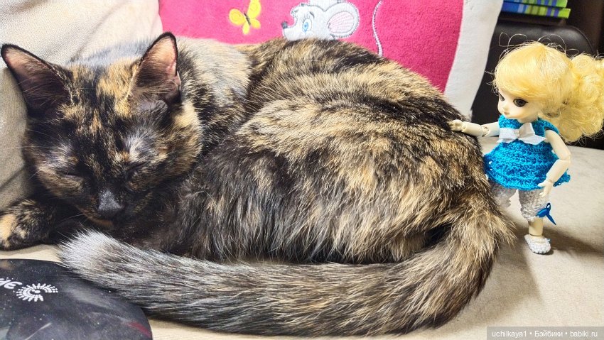 Показ мод от Миры — Одежда и обувь для кукол BJD (БЖД): 1/3