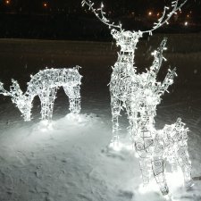 Мирка и Ко. Снег