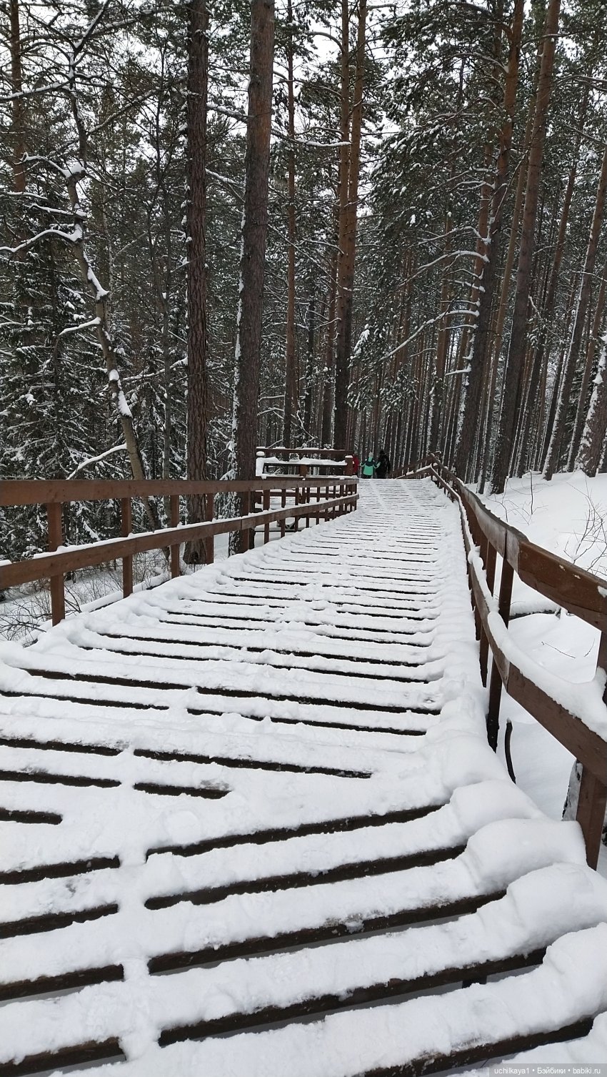 Зимние красоты — Болталка и разговоры обо всем: жизнь (фото 2)
