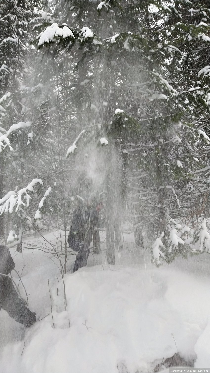 Зимние красоты — Болталка и разговоры обо всем: жизнь