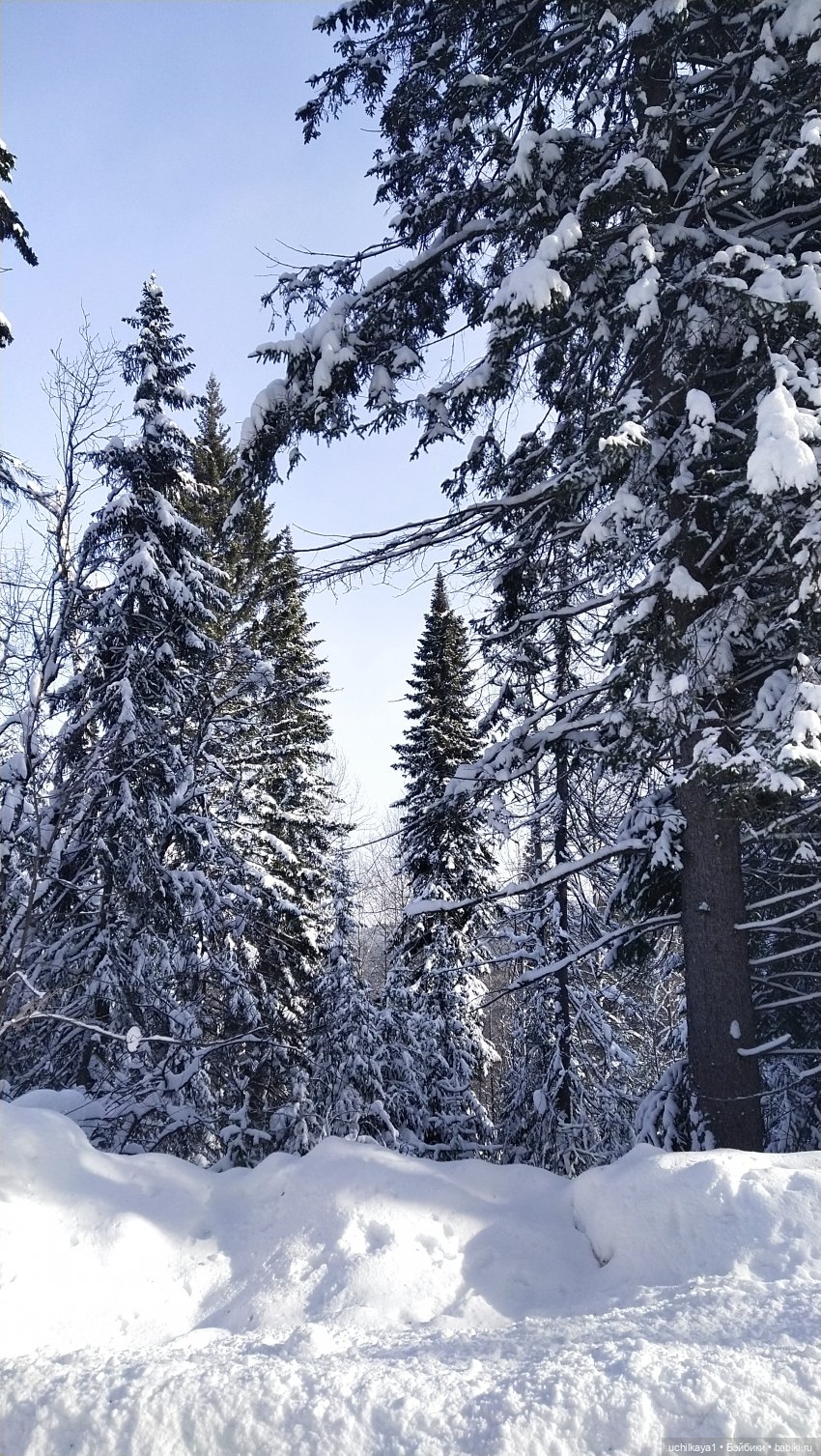 Зимние красоты — Болталка и разговоры обо всем: жизнь (фото 3)