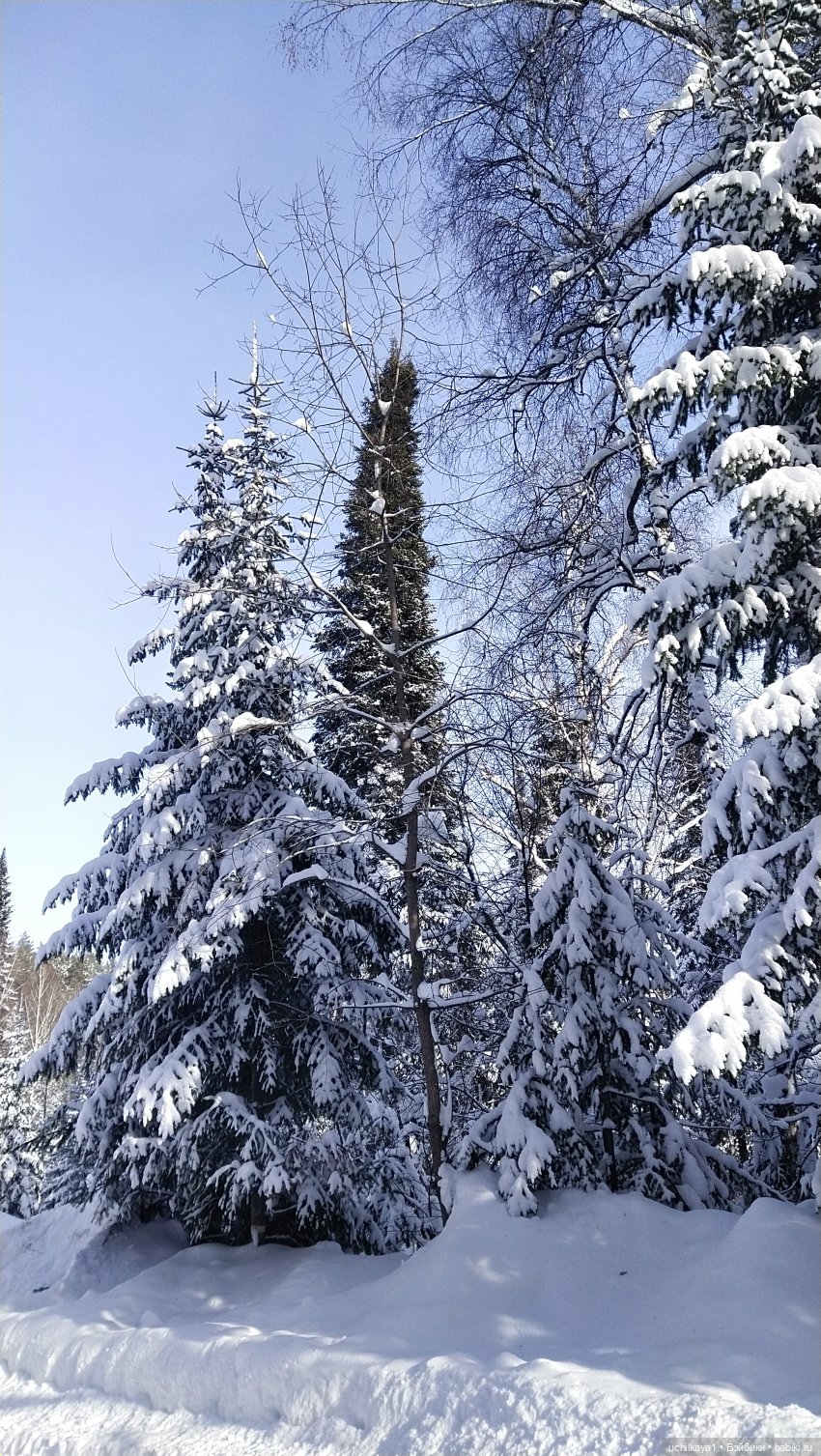 Зимние красоты — Болталка и разговоры обо всем: жизнь (фото 6)