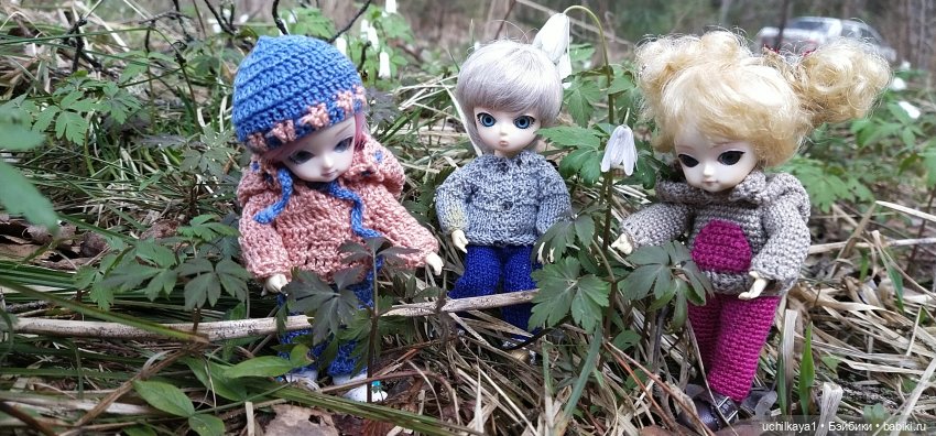 Мирка и Ко. Весна — Куклы Ai Doll и Pangju (Панджу): Tiny BJD (БЖД) (фото 4)