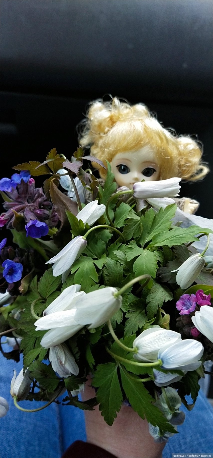 Мирка и Ко. Весна — Куклы Ai Doll и Pangju (Панджу): Tiny BJD (БЖД) (фото 9)