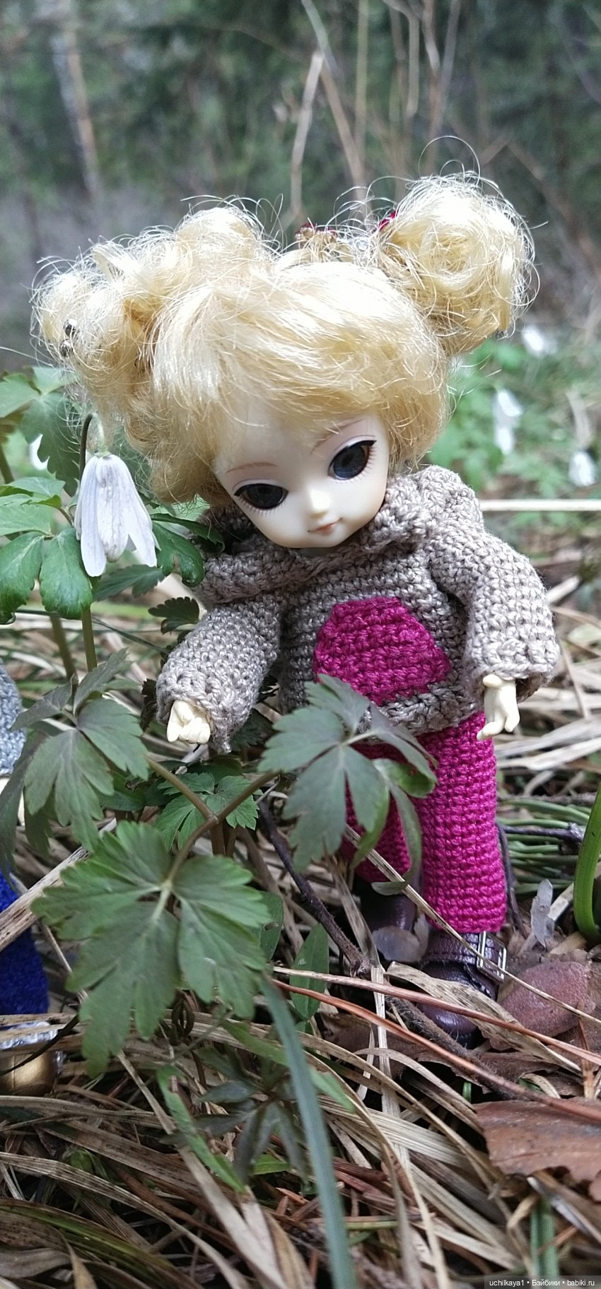 Мирка и Ко. Весна — Куклы Ai Doll и Pangju (Панджу): Tiny BJD (БЖД) (фото 5)