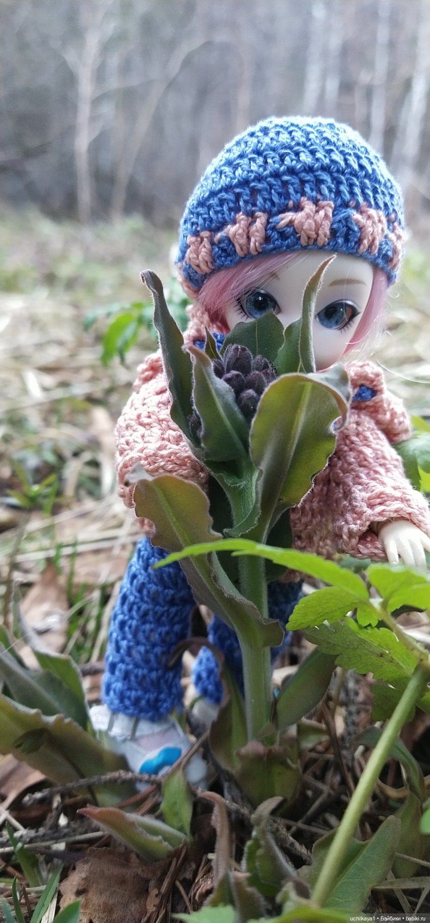 Мирка и Ко. Весна — Куклы Ai Doll и Pangju (Панджу): Tiny BJD (БЖД) (фото 6)