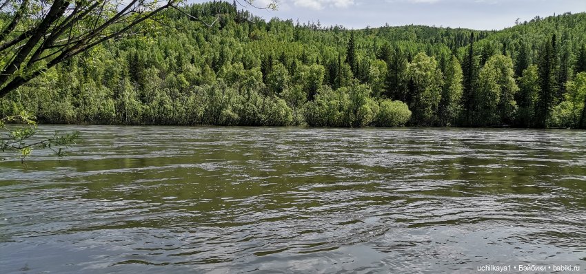 Мирка и Ко. День на природе