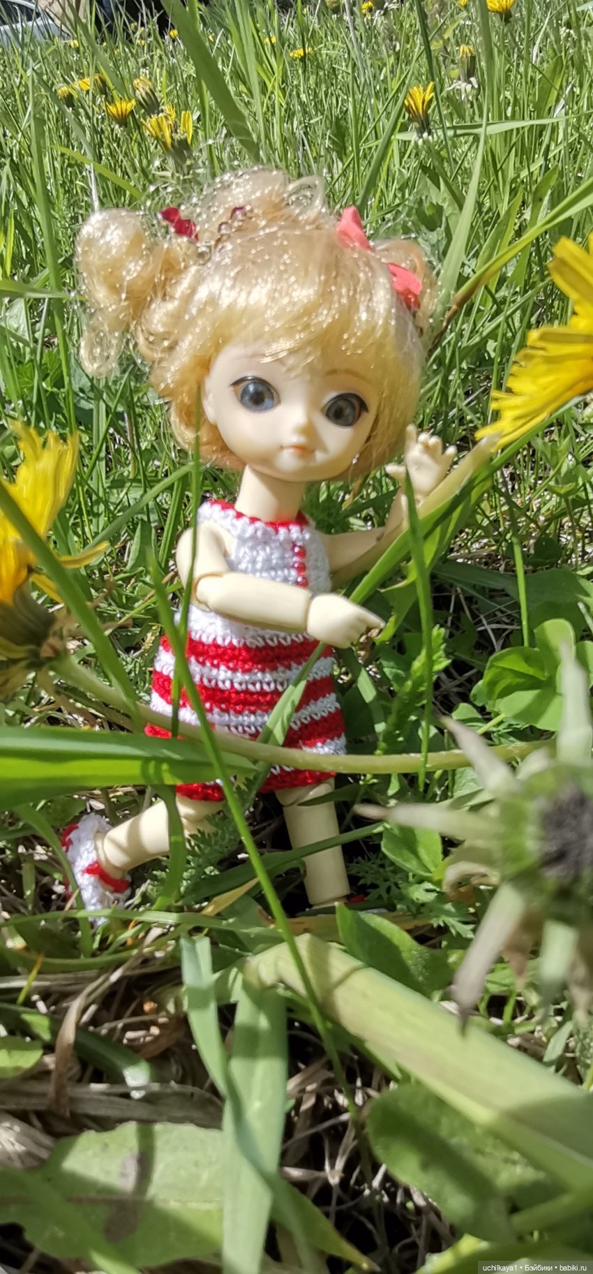 Мирка и Ко. День на природе (фото 8)