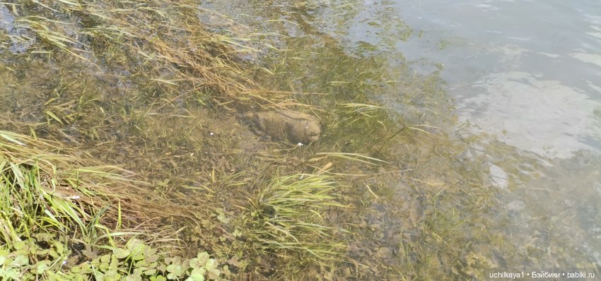 Мирка и Ко. День на природе (фото 3)
