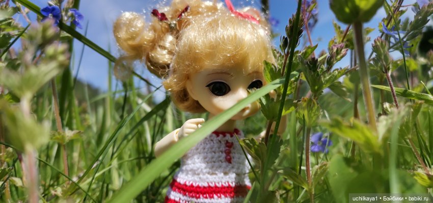 Мирка и Ко. День на природе (фото 6)