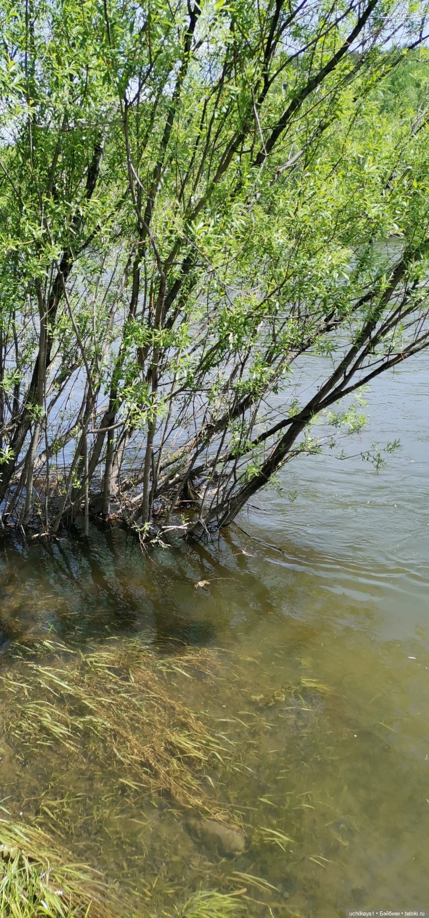 Мирка и Ко. День на природе (фото 2)