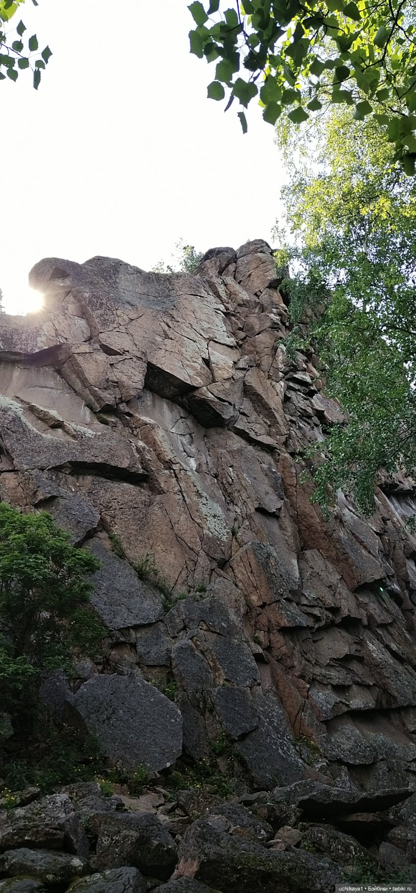 Мирка и Ко. Заповедник "Столбы". Часть 2 (фото 8)