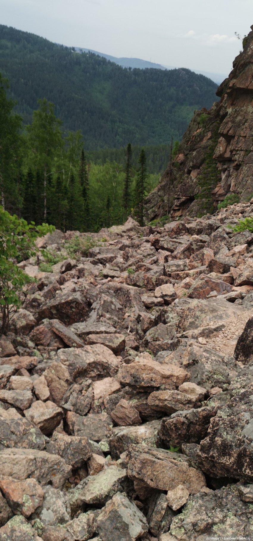 Мирка и Ко. Заповедник "Столбы". Часть 2 (фото 5)