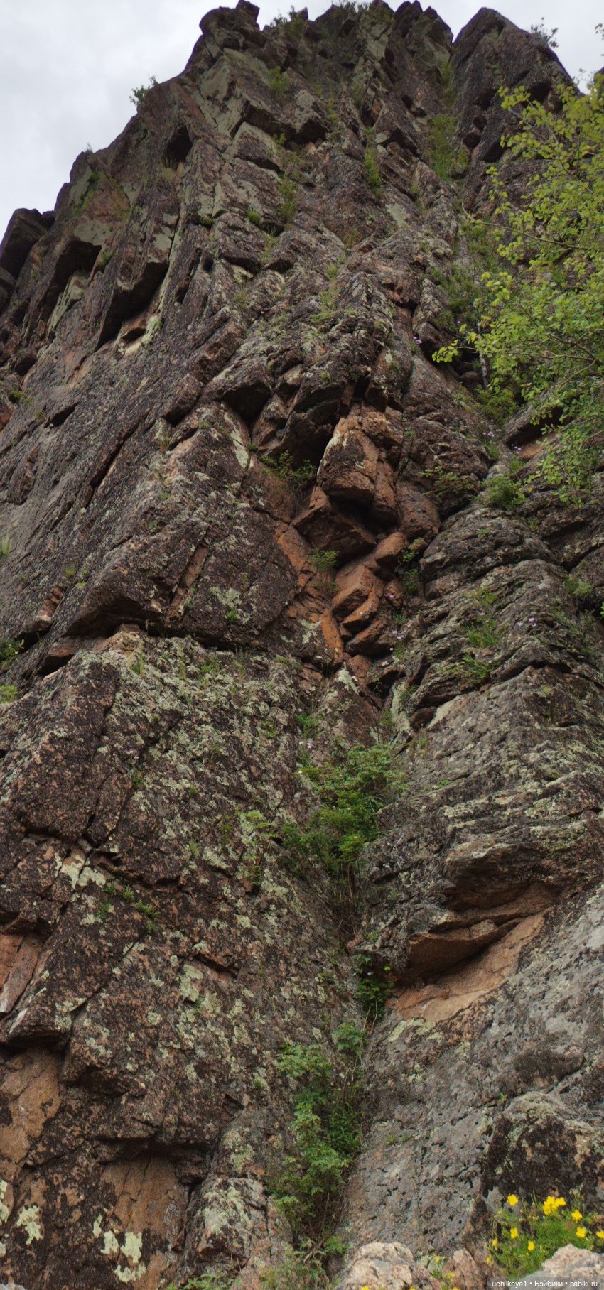 Мирка и Ко. Заповедник "Столбы". Часть 2 (фото 6)