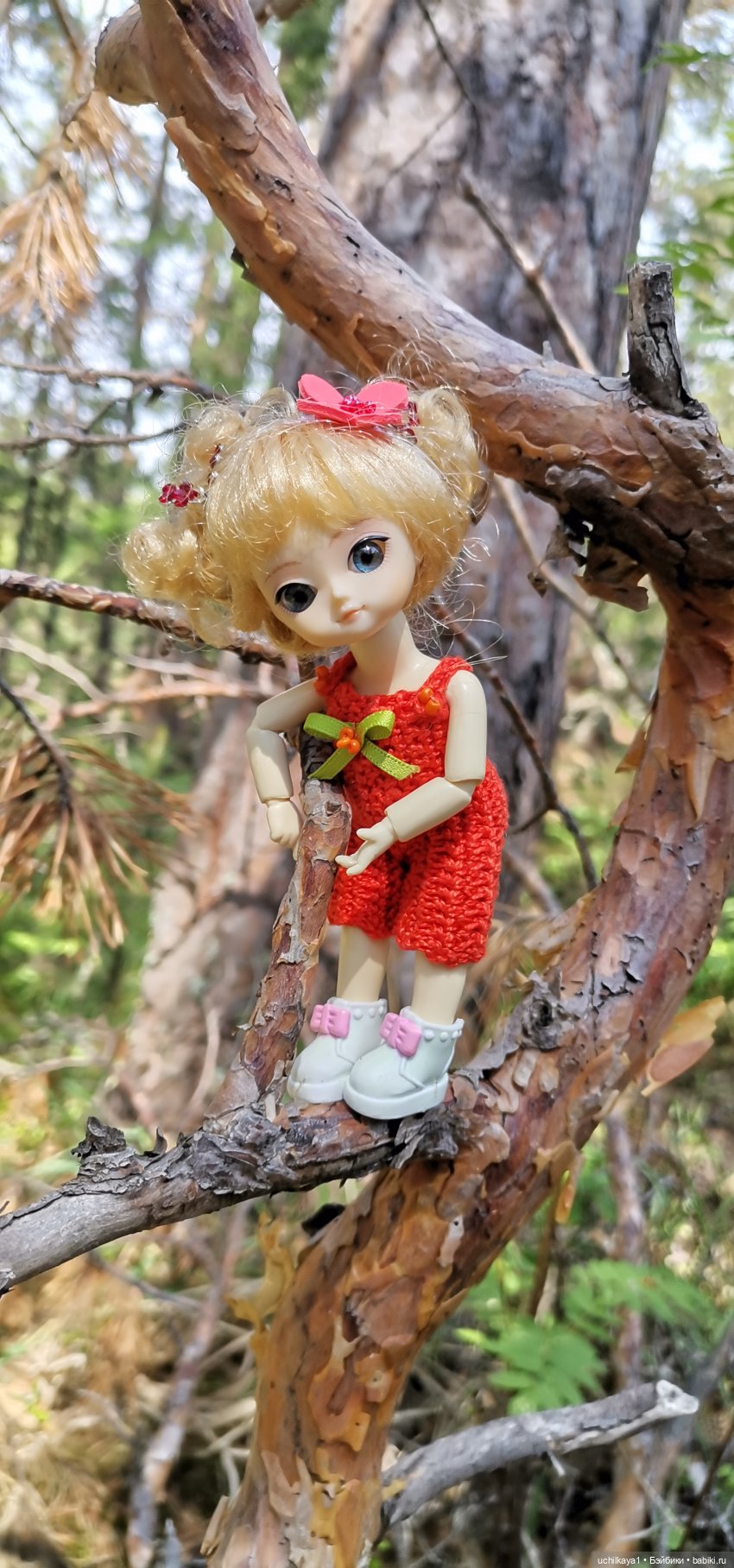 Мирка и Ко. Заповедник "Столбы". Часть 1