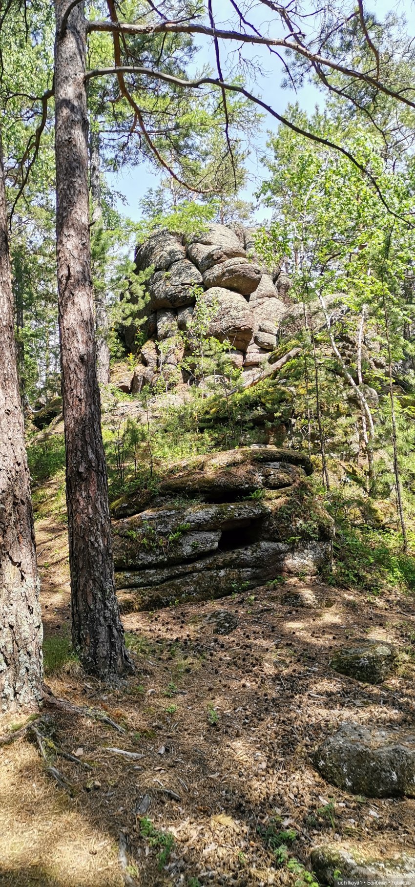 Мирка и Ко. Заповедник "Столбы". Часть 2