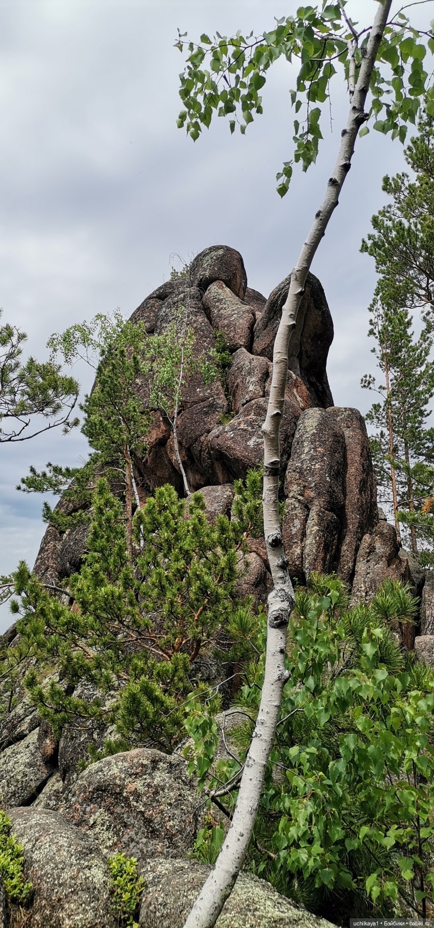 Мирка и Ко. Заповедник "Столбы". Часть 2 (фото 2)