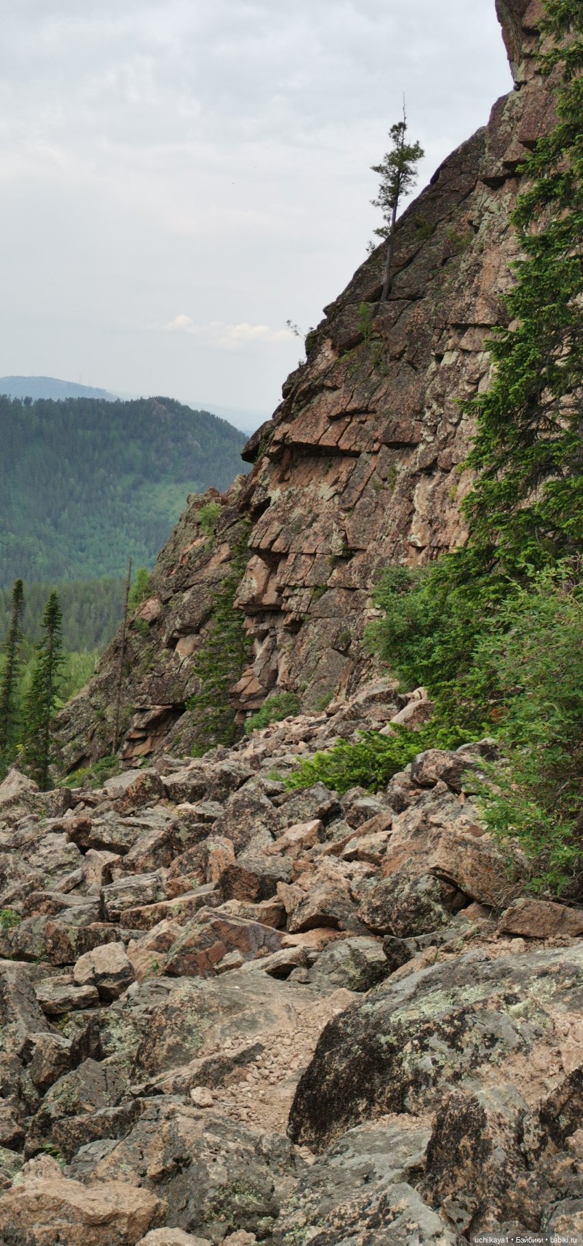 Мирка и Ко. Заповедник "Столбы". Часть 2 (фото 4)