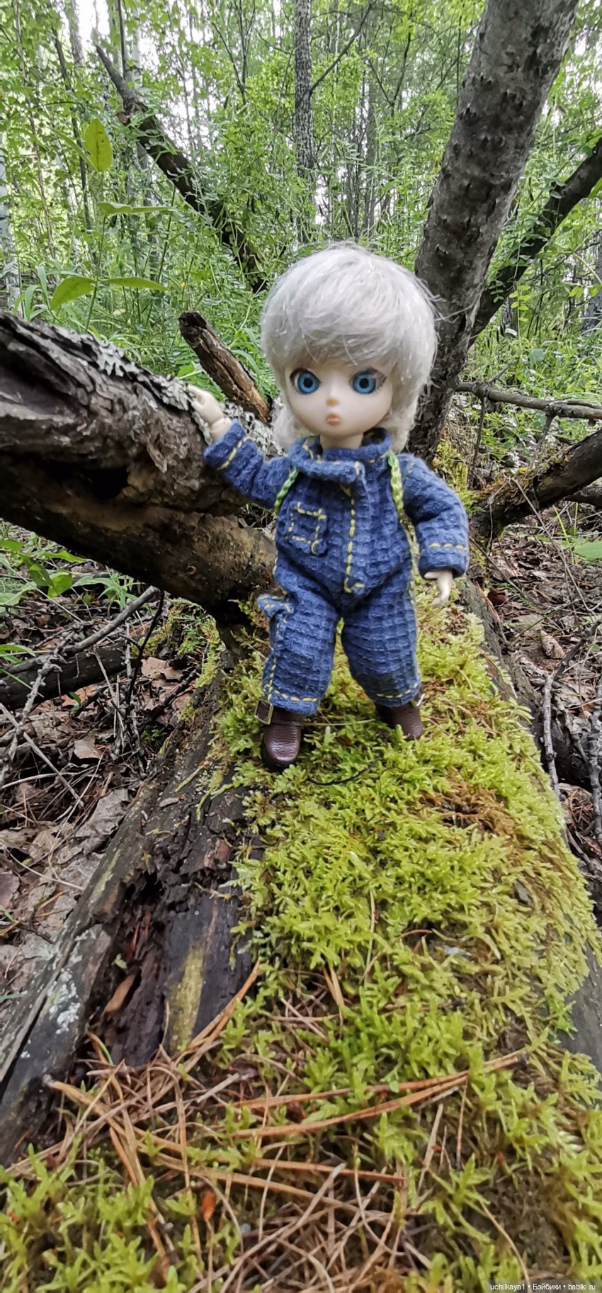 Мирка и Ко. Надюшина прогулка (фото 7)